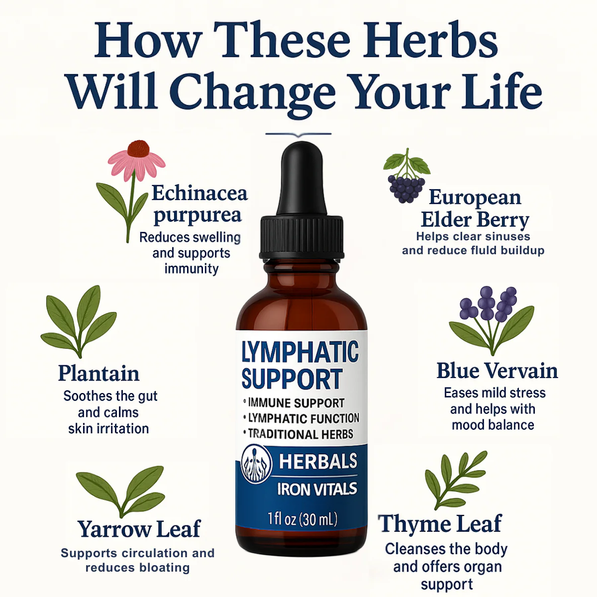Lymphatic Support Drops (30mL)